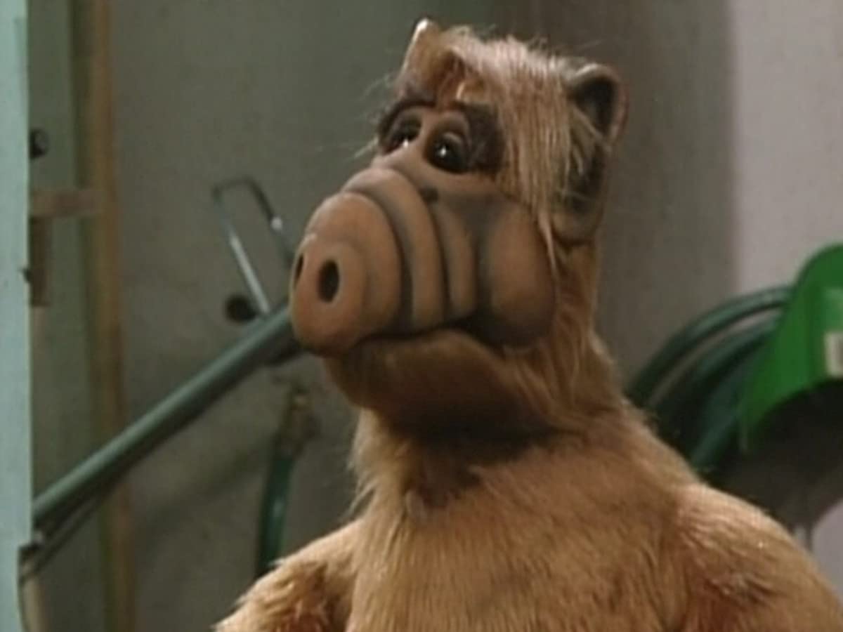 Amazon.de: ALF - Staffel 2 ansehen | Prime Video